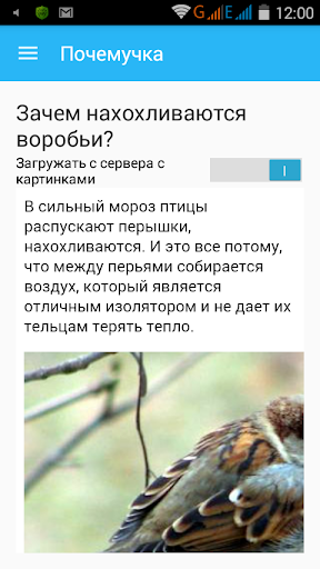 Почемучка . Для детей 4-10 лет Screen 3