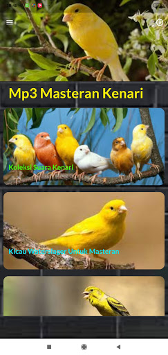 Kicau Kenari Ngerol Panjang Screen 2