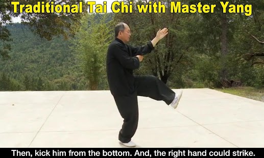 Yang Tai Chi for Beginners 2&3 Captura de pantalla