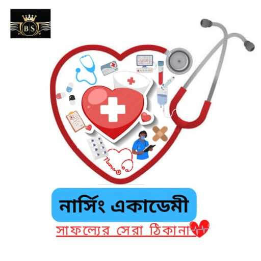 BS Nursing Academy logo
