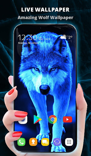 Android application Ice Wallpaper + Keyboard: Wolf screenshort