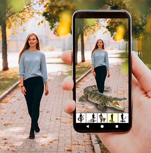 Picture montage with animals