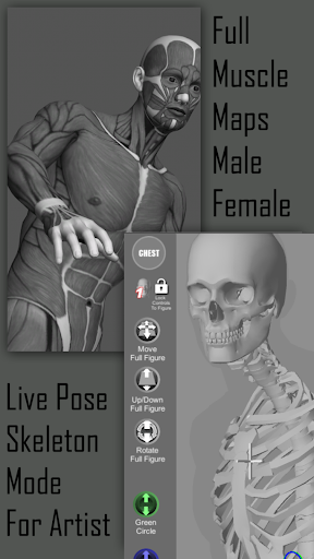Pose Tool 3D Screenshot 4 - AppWisp.com