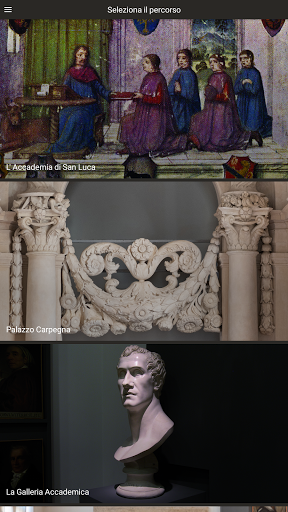 Android application Accademia Nazionale di San Luc screenshort