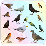 Cover Image of Télécharger Birds Encyclopedia  APK