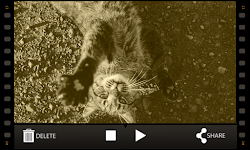 screenshot of Rotate Video FX