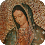 Moniciones Virgen Guadalupe icon
