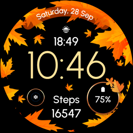 ReS51 - Autumn & Winter Watch icon