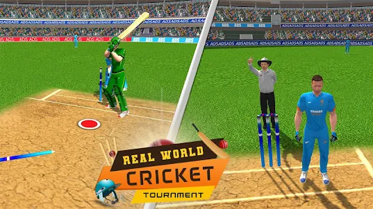 Real World Cricket Tournament 