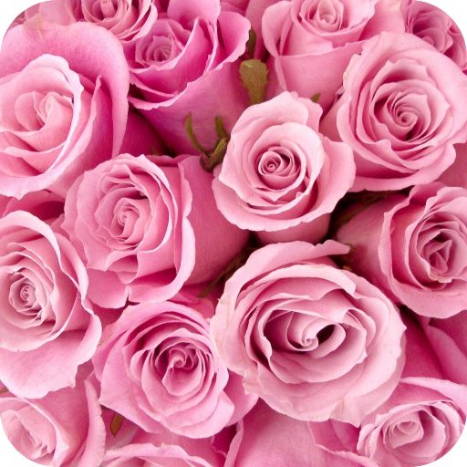 Rose GIF Images Collection. logo