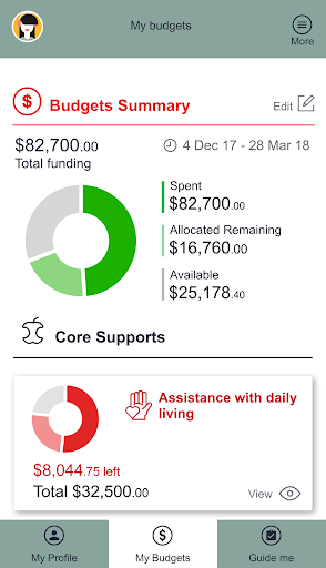 UCQ NDIS Planning Screen 2