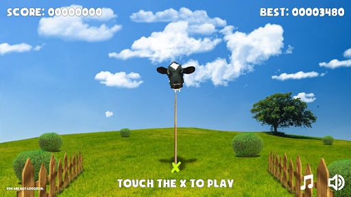 Cow Balance Screen 2