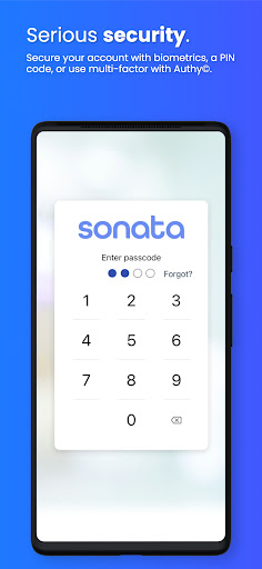 Sonata - Mobile Banking Screen 3