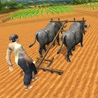 Village Plow bull Farming 1.0.8