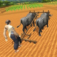 Village Plow Farming Expert:Bull Farmers Simulator