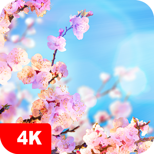 Download Spring Wallpapers 4K for PC Windows 7, 8, 10, 11