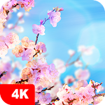 Cover Image of Download Spring Wallpapers 4K 5.5.61 APK