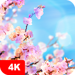 「Spring Wallpapers 4K」のアイコン画像