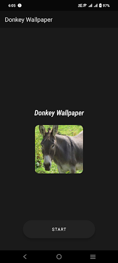 Donkey Wallpaper Screen 2