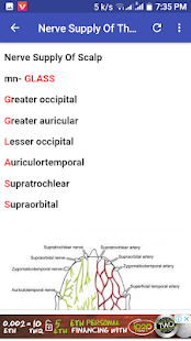 All Anatomy Mnemonic