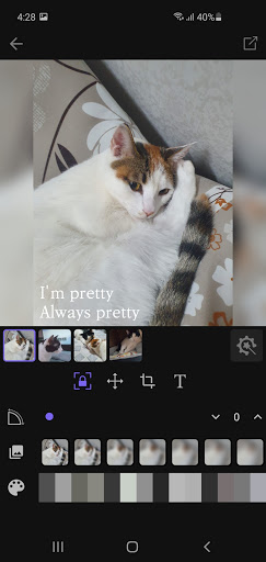 Square Pic - No crop photo edi