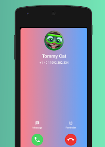 Tom Talking : Fake Video Call