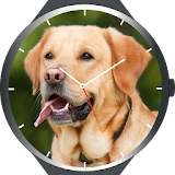 Dogs Watch Faces icon