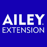 AILEY Extension icon