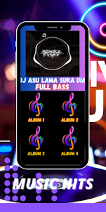DJ Asu Lama Suka Dia Remix