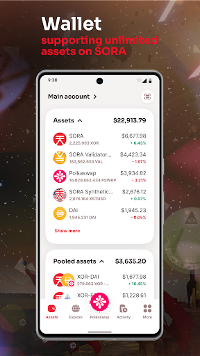 SORA Wallet: Polkaswap Screen 3
