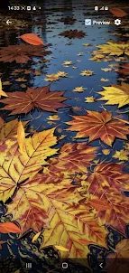 Leaves Fall Live Wallpaper