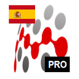 SPANISH IRREGULAR VERBS PRO (CONJUGATION REF.) icon