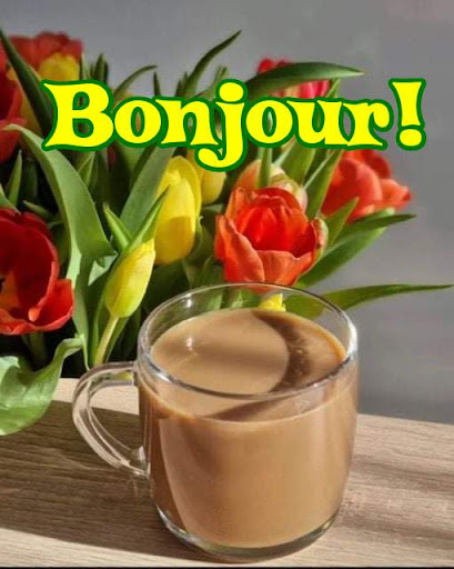 Android application Bonjour Images screenshort