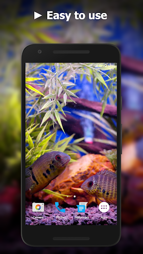 Aquarium Video Live Wallpaper Screen 3