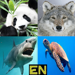 Cover Image of Download Animals in English learning qu  APK