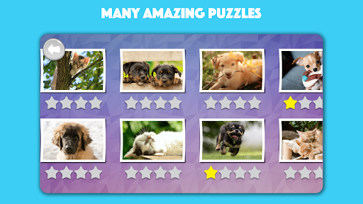 Paws & Claws: Cute Pet Puzzles Screen 2