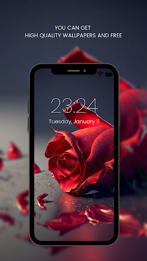 Screenshot of Red Rose Wallpapers Flowers