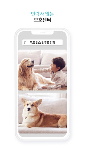 도그마루 보호소 - 강아지입양 고양이입양 유기동물보호소