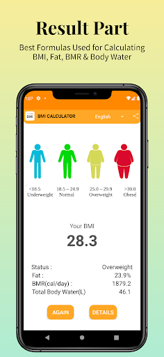 BMI Calculator Screen 3