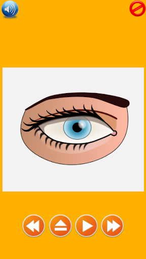 Human Body Parts for Kids Screen 2
