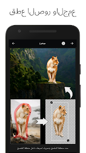 تحميل تطبيق LightX pro محرر صور احترافي للأندرويد اخر إصدار 2022 2