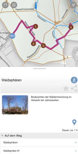 Waldlabor Screen 3