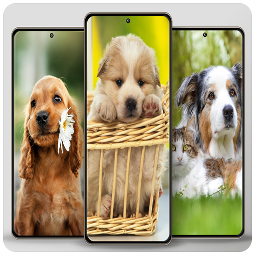 Dog cute wallpapers logo