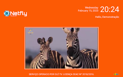 Netfly TV Screen 2