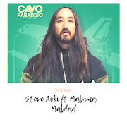 STEVE AOKI MALUMA MALDAD