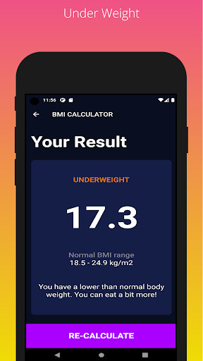 BMI Calculator Screen 2