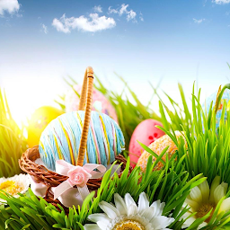 Icon image Easter Wallpapers