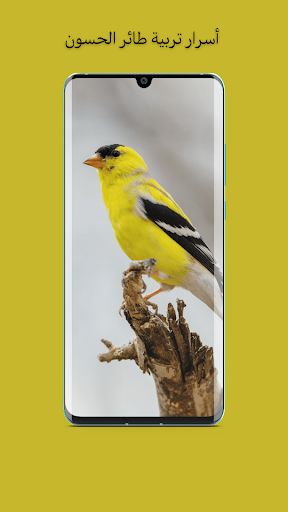 Android application اجمل صوت تغريد حسون screenshort