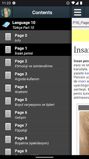 Uygulama önizlemesi