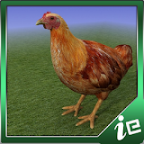 Happy Chicken Simulator icon